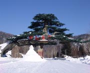 阳明今天天气