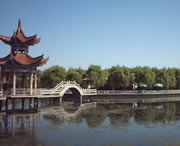 临洮后天天气