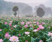 广昌天气预报40天