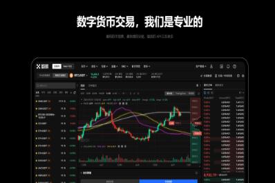 欧意交易所买卖交易流程_欧易交易所买卖数字资产指南